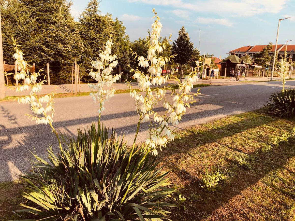 Club Thermal Village Цеґлед Екстер'єр фото
